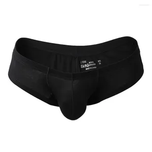 Cuecas masculinas sissy modal respirável sexy bolsa calcinha boxers briefs roupa interior bikini shorts homem confortável