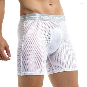 Mutande Mesh Long Boxer Shorts Uomo Biancheria intima sportiva traspirante Senza cuciture Sissy Calzoncillos Hombre Mutandine Boxer Trunks