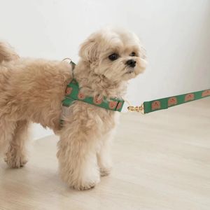 犬の襟の綱は犬の牽引ロープ2m犬のハーネスセット調整可能なクマのベストハーネス犬子犬のペットリーシュ犬の散歩装飾231124