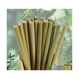 Cannucce Natural Green Bamboo Yellow Carbonized Sts Protezione della salute e dell'ambiente Incisione personalizzabile Logo Dbc Vt019 Dhwdb