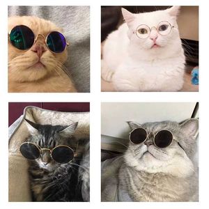 NYA ARRIVEAL PET GLASSES KATPRODUKT KREATIV TREND DOG PETS PRODUKTER Nya konstiga roliga katter Solglasögon