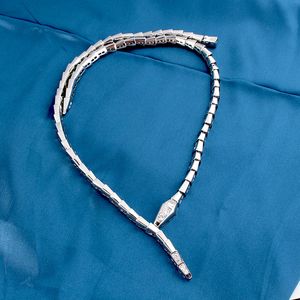 diamanti girocollo in oro argento pendenti lunghe collane da donna alla moda set serpente gioielli di design di lusso festa mamma natale regali di nozze banchetto per ragazze da donna