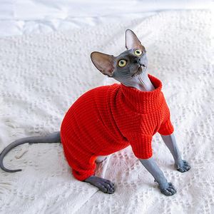 Roupas sphynx gato roupas outono inverno quente animal de estimação gato macacão hoodies macio gatinho gato pijamas trajes para sphinx devon gatos