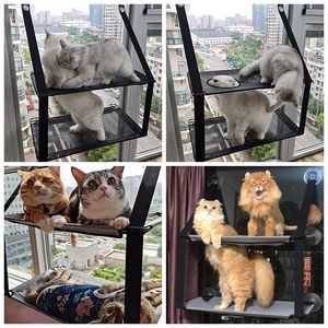 Mats New Pets Cat Hammock Wood Shelf Seat Pet Hanging Bed Cat Beds Sucker Window Mounted Perch Pet Climbing Toys Supports up to 10kg