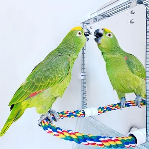 Brinquedos papagaio brinquedo acrílico pássaro espelho com corda poleiros pássaro brinquedos balanço confortável poleiro para periquito cockatiel conure lovebirds canários