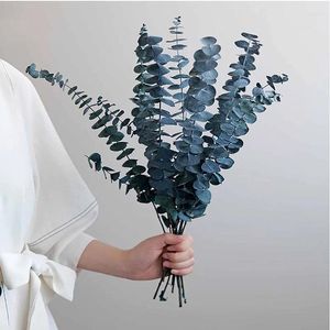 Decorative Flowers 3pcs Eucalyptus Leaves Natural Dried Flower Bouquet Preserved For Bohemian Real Plant Living Room DIY Wedding Home