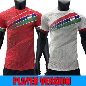 23 24 Gambia Nationa Fußballtrikots 2023 2024 Home Away Player Version Outdoor-Sport-Fußballtrikots