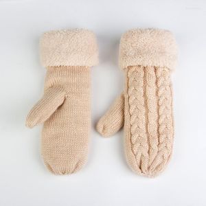 Five Fingers Gloves 2023 Fashion Solid Mohair Cashmere Winter Women Warm Thick Schafwolle Knit Twist Fäustlinge Für Damen Mitaine Laine