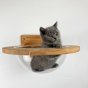 Tapetes para animais de estimação, móveis para gatos, casa de parede, transparente, cápsula de espaço, árvore de madeira, quadro de escalada, cama de gatinho, trampolim