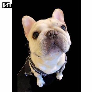 Dresses Summer Cooling Breathable Pet Dog Skirt Dress Clothes For Small Medium Dogs Chihuahua French Bulldog Dropshipping YKC45