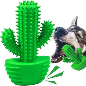 Toys Dental Chew Toys For Dogs friska Fresh Puppy Teeth Cleaning Brush Cactus stor ras hundmolar tandborste stick husdjur leveranser