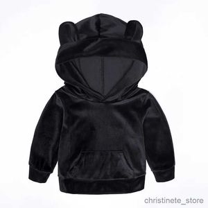 Clothing Sets Newborn Fashion Girls Boys Clothing Sets Spring Autumn Hoodie Jackets +Pants Costume Pleuche Sportswear Children Clothes Outfits R231127