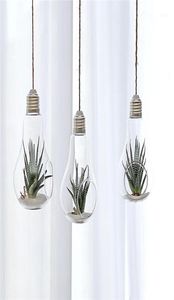 Storage Bottles Jars 24 X D813cm Hanging Terrarium Flower Plant Glass Vase Light Bulb Shape Home Wedding Decor6370935