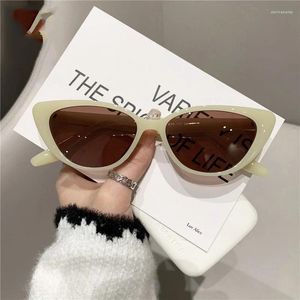 Sonnenbrille 2023 Kleine Cateye Frauen Gläser Hohe Qualität Brillen Frauen/Männer Spiegel Gafas De Sol Mujer