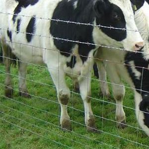 Personalização por atacado Cerca de arame Rede de cerca de animais Compra entre em contato