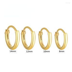 Brincos de argola 1 breol de cartilagem de arair 925 círculo de prata esterlina para mulheres 8 mm 10mm 12mm jóias de piercing de tamanho