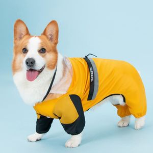 Rainoats Jumpsuits płaszcz przeciwdeszczowy Corgi Pet Clothing Psy Waterproof for Dog Ubrania kostium All Inclusive Spring Yollow Boy Girl Kllar Perro