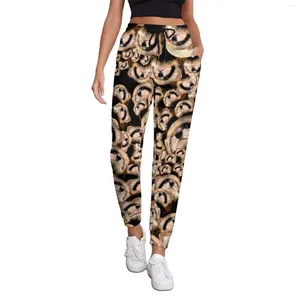 Calças femininas bonito furão outono 101 furets imprimir casual joggers senhoras design estético calças tamanho grande 3xl