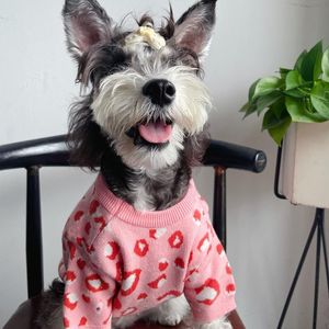 Suéter para cachorro de estimação kawaii, suéter para cães pequenos, bonito, rosa, leopardo, jumper, estilo coreano, maltês, chihuahua, pulôver, yorkie, roupas de filhote de cachorro