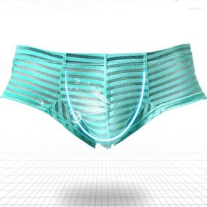 Underpants Striped Boxer Sexy Men Transparent Underwear Low Waist Slip Homme XL Cuecas Boxers See Through Mens Brand