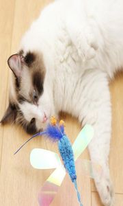 ティーザーフェザーおもちゃ猫子猫面白い蝶のドラゴンロッドキャットワンドおもちゃペット猫インタラクティブスティックペット用品9348016
