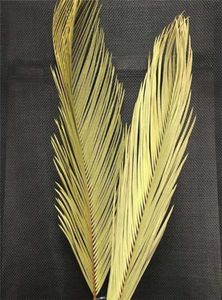 5st torkade naturliga blommor Sago Cycas BranchFruticose Dracaena Dry Palm Fan LeavesParty Art Wall Hangingwedding Decoration 21118736909