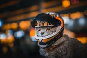 Pet Cat Motorcycle Helmet, Full Face Pet Motorbike Dog Cat Bike Helmet, Cycling Equipment for Small Medium Sized Dogs Cats Kittens - 2024 Collection