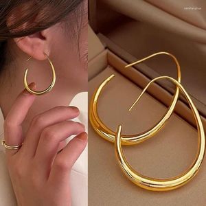 Hoop Earrings 2023 925 Silver Needle Simple Design Geometric Oval Premium Luxury For Women Goth Party Wedding Jewelry