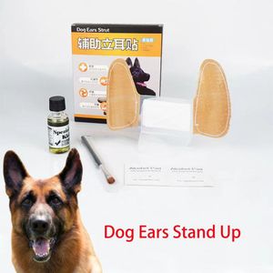 Aksesuarlar Pet Dog Ear Stand Up Destek Araç Düzeltmesi Doberman Chihuahua Köpek Köpek Evcil Hayvan Dükkanı Malzemeleri için Büyük Küçük Orta Kulak Standı