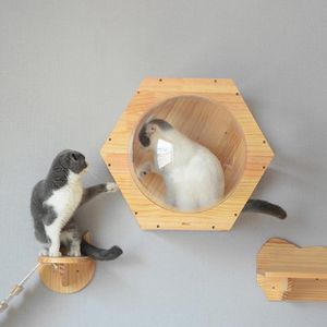 Scratchers Wallmontered Cat Climbing Frame Cat Tree Bed Space Capsule Roped Cat Bridge House Cave Sisal Scratching Post Pet Möbler