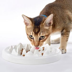 Alimentação do animal de estimação alimentador lento tigelas gato cerâmica diversão tigela de alimentação anti estrangulamento interativo bloat parar quebra-cabeça cão filhote de cachorro tigela alimentação saudável dieta