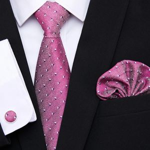 Neckband Partihandel 160 Styles Högkvalitativa Silk Fashion Purple Pink Men slips Hanky ​​Cufflinks Set For Men Wedding Party Business Group 231128