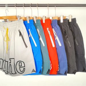 Europäische und amerikanische Herren-Sesam-Shorts in limitierter Auflage, Sommer-Schwimmkurzschluss, knielang, Hip-Hop, High-Street-Sport, Training, Strandhose, Herren, elastische Taille