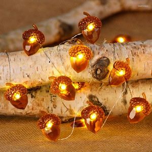 弦楽クリスマスライトは、暗闇の中で輝く木とホームパーティーの装飾のための銅松の円錐弦を導いた