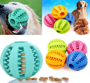 Gumowa kulka do żucia Uchwyt dozujący uchwyt Pet Dog Puppy Cat Toy Training Dental J00038842547