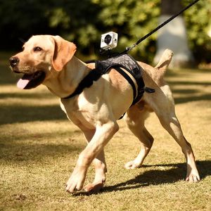 Obedience Dog Harness Action Camera Gopro Pet Sports Video FPS Dog Chest Strap Shoulder Stabilizer for Medium Large Dog Pet Supplies