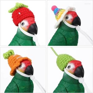 Hundkläder 1st Bird Hat Små djur Vackra hand stickade hattar för Hamster Lizard Guinea Pig Reptile Party Clothes Costume Pet Caps