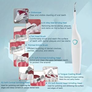 8 In 1 Oral Teeth Cleaner Vibration Dental Cleaner, Equipped With Storage Base, High-brightness LED Lights, Endoscope, Portable And Rechargeable For Home Travel