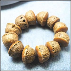 Bangle 1PC Natural Bodhi Wooden Bracelets Plant Seeds Powerful Nature Beads Men For Your Party