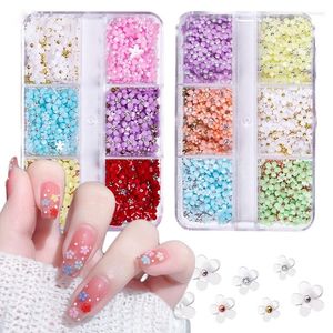 Nail Art Decorations 6 Grids 3D Acrylic Flower Parts Mixed Steel Beads Charms Design Decoration DIY Jewelry Accessory