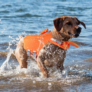 Одежда новая собачья спасательная куртка безопасность одежды Жижерные жилеты для плавания одежды для маленьких больших собак хаски французский бульдог купальники