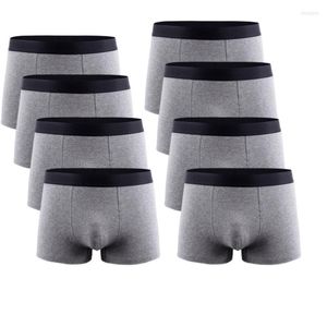 Underpants 8pcs homens cuecas boxers algodão conforto grande tamanho masculino de calcinha curta e respirável masculina calcinha sólida