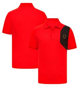 T-shirt maschile da uomo 2024 T-shirt polo di New F1 Team Shirt Formula 1 Racing T-shirt Fans Auto T-shirt Summer Sport Brand Maglietta Jersey Pwhy