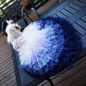Giyim El yapımı köpek giysileri lüks evcil hayvan prenses elbise arka elbise kedi dantel geniş okyanus mavi gradyan tül etek şapel tren maltese