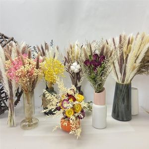 Dekorativa blommor riktiga vass torkade pampas phragmite gräsdekoration fluffig bröllop diy bohemisk naturlig bukett för hemmet vardagsrum