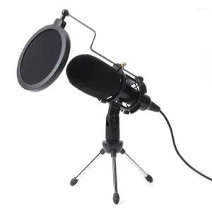 Microphones Portable Handheld Mic Home Party Props Widely Use Condenser Microphone