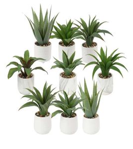 2021 Nova planta tropical artificial interna personalizada oem planta artificial realista de aloe vera para 5014566