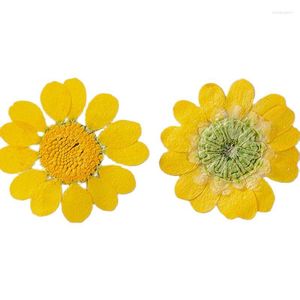 Decorative Flowers 2023 Yellow Daisy Dried Pressed Flower For Bookmark Material Free Shipment 1000Pcs