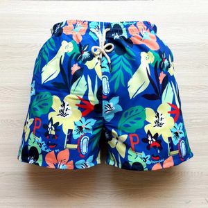 polol Men's Summer Shorts Beach Sports Casual Shorts Plus Size Quick Dry Pants