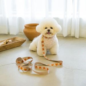 犬の襟の綱は犬の襟の葉の襟の調整可能なクマの犬子犬のペットリーシュの犬の歩き装飾を備えたかわいい耐久性のある牽引ロープ2m 231129